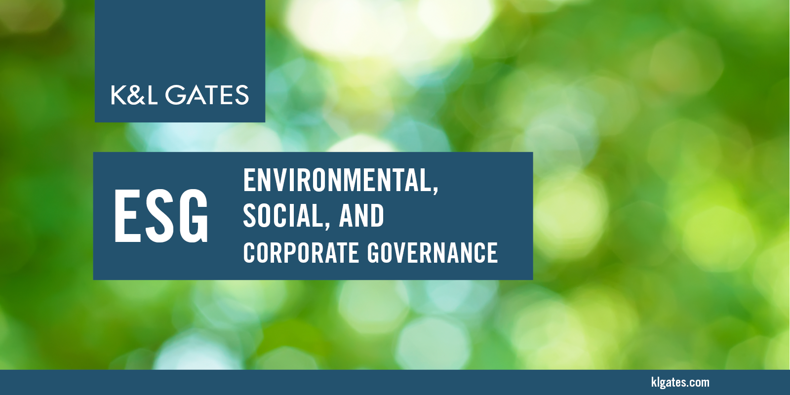 ESG Sustainability and Renewable Energy Services K&L Gates