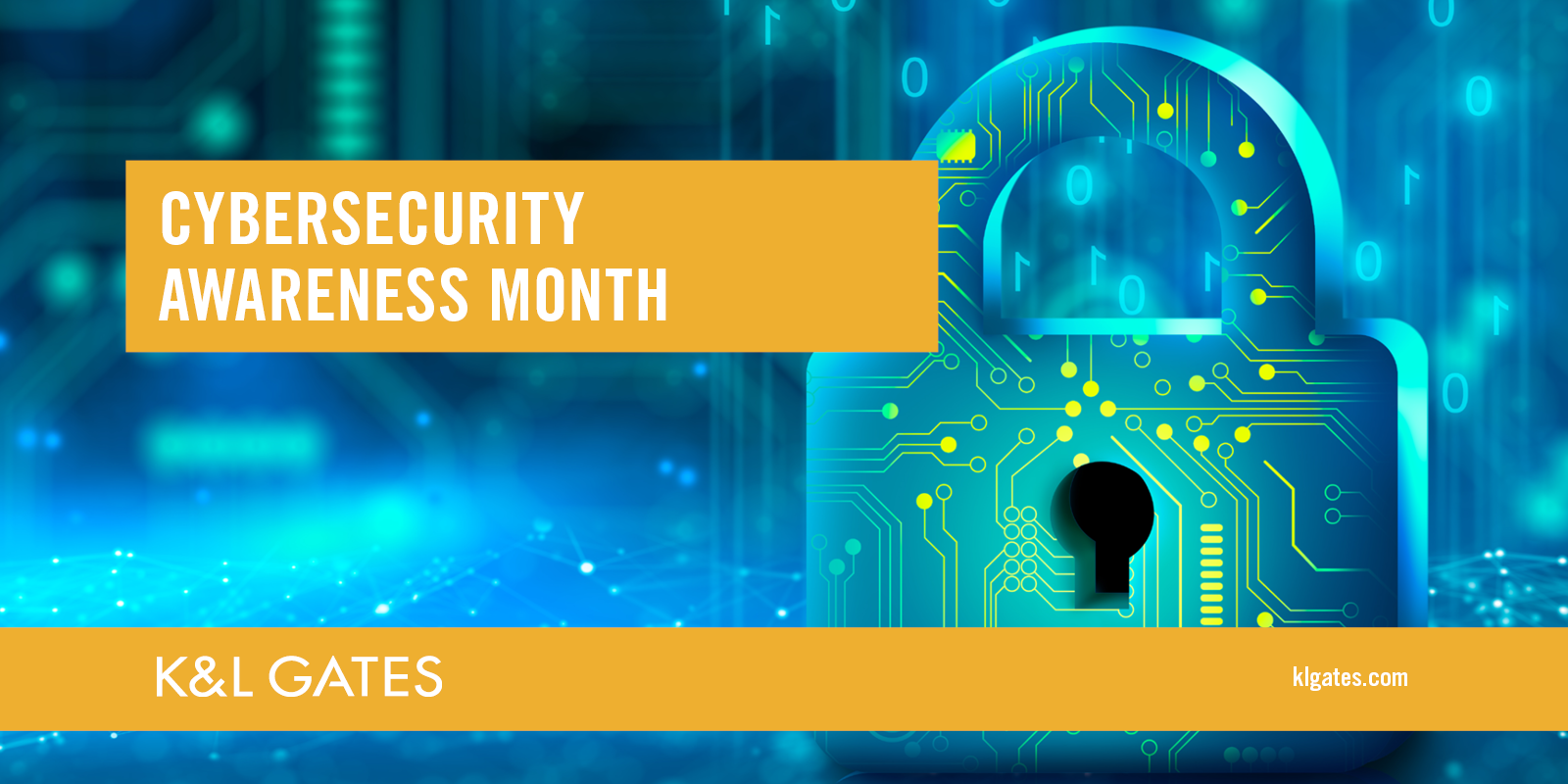 CPRA and Beyond — 2023 State Privacy Regulation Insight Series HUB