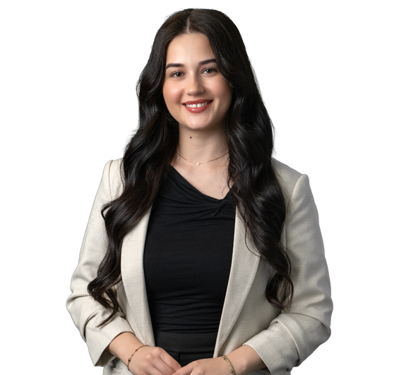 Melis Barisik